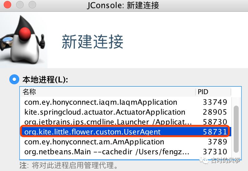 JConsole、VisualVM 依赖的 JMX 技术