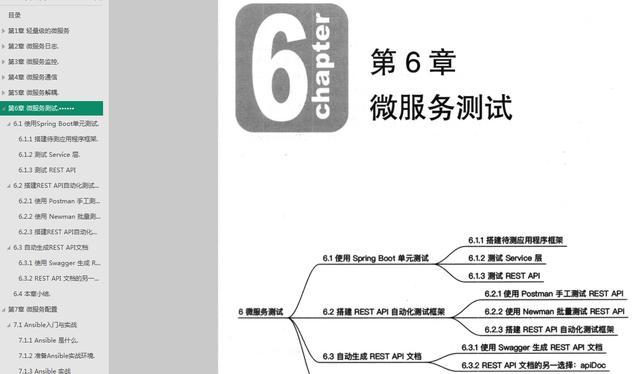 从零开始搭建轻量级微服务架构，开源框架创始人带你走完全程