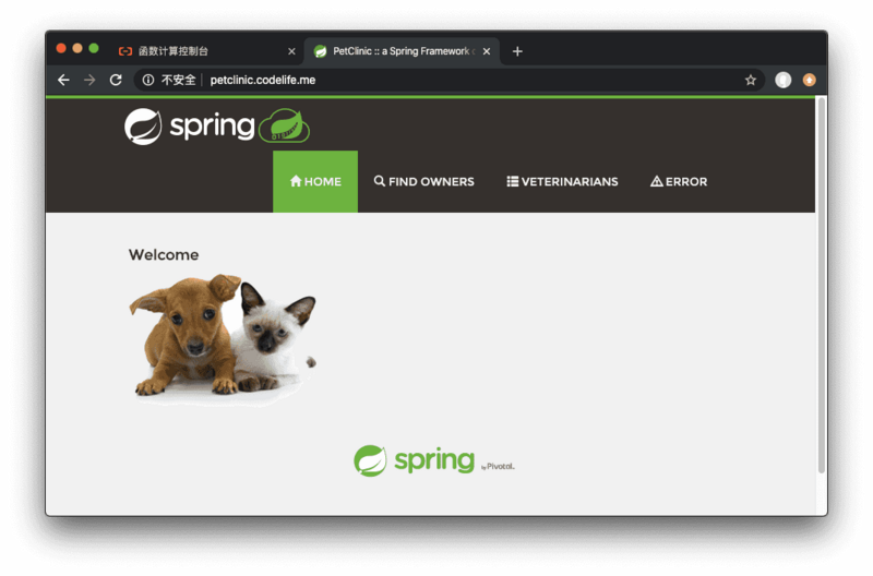 快速部署 Spring PetClinic 到函数计算平台