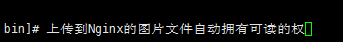 解决Tomcat8上传文件无可读权限问题