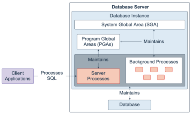 Oracle Database 19c 技术架构（一）