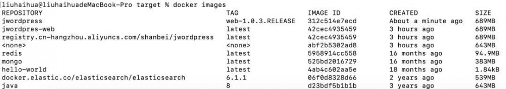 Springboot工程制作镜像并推送到云镜像