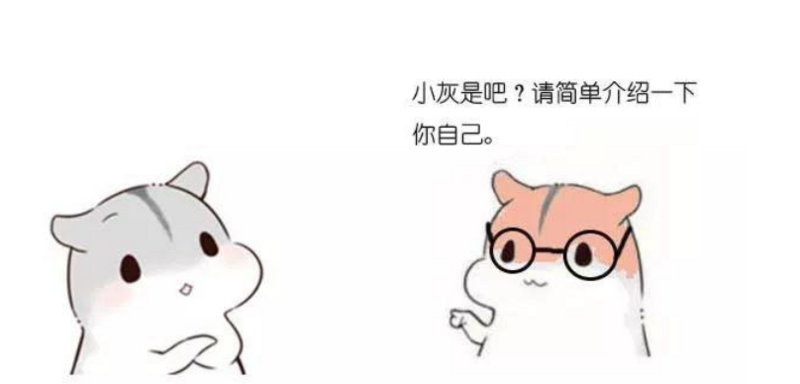 漫画：什么是HashMap？