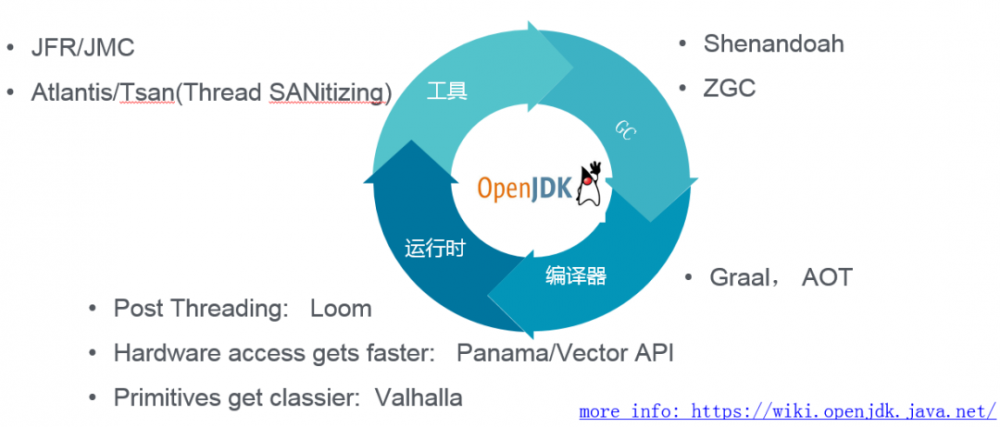 Java 正青春：现状与技术趋势报告