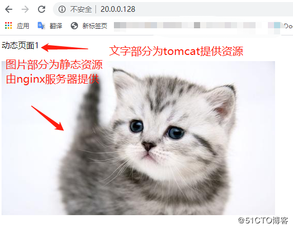 实践出真知——一文教你搭建Nginx+Tomcat集群，实现负载均衡及动静分离 荐