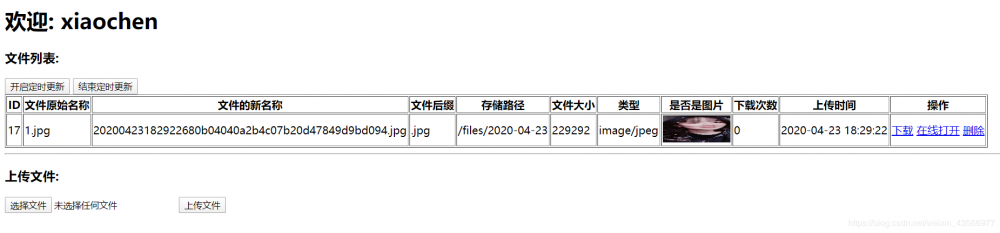 SpringBoot上传下载文件及在线预览